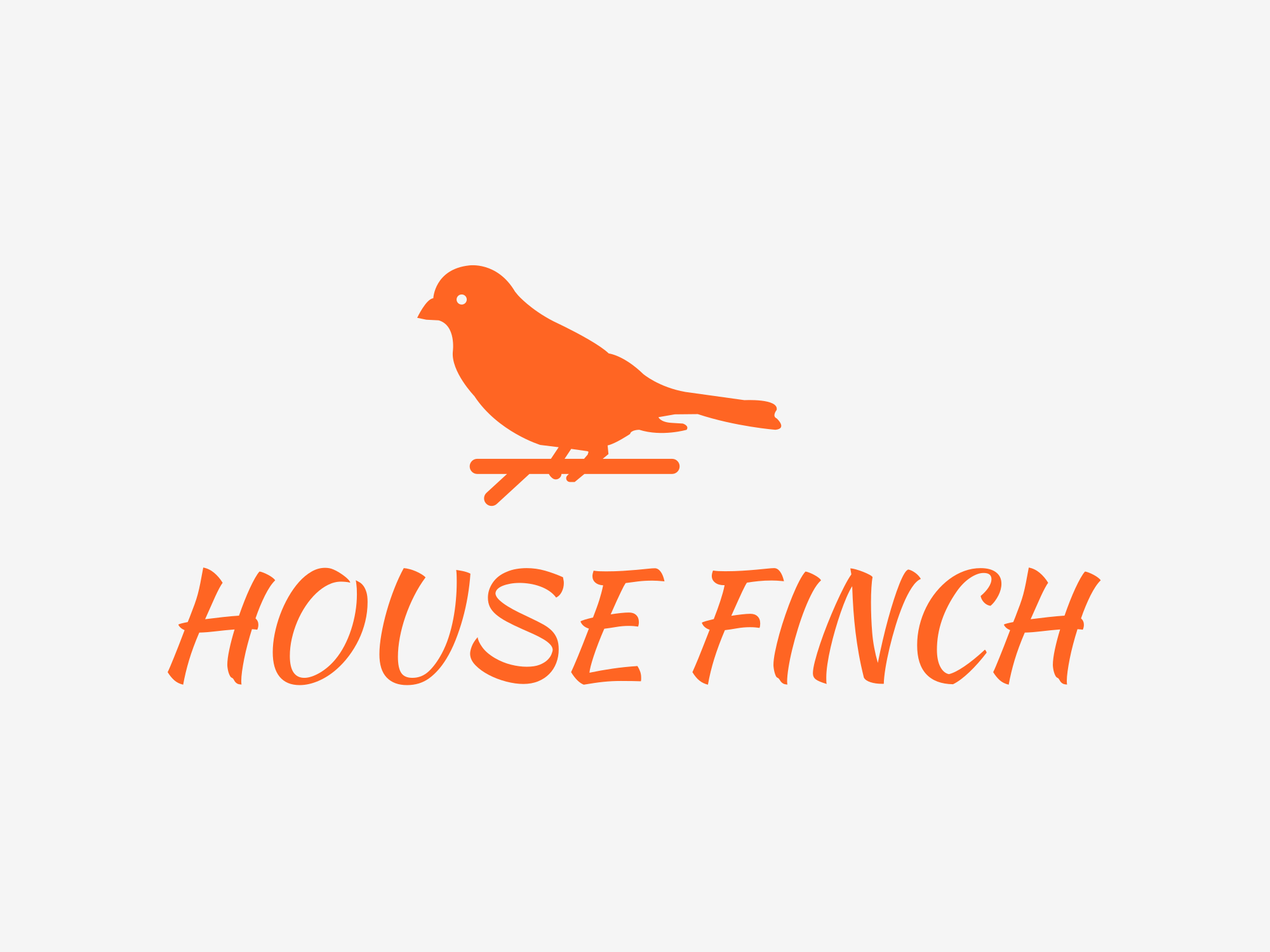 House Finch Property Management LLC